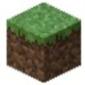 grass.jpg