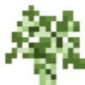 sapling-birch.jpg