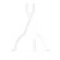 psc.webp
