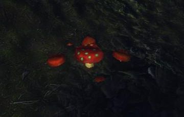 red_mushroom.jpg