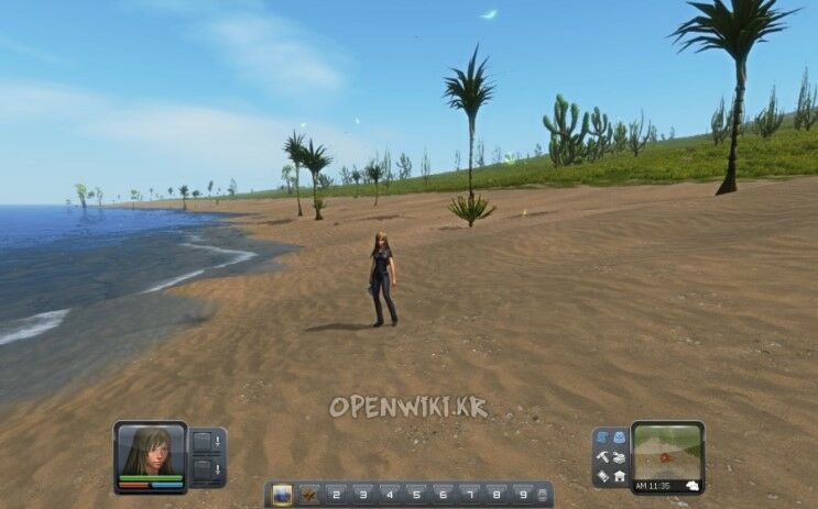 shore.jpg
