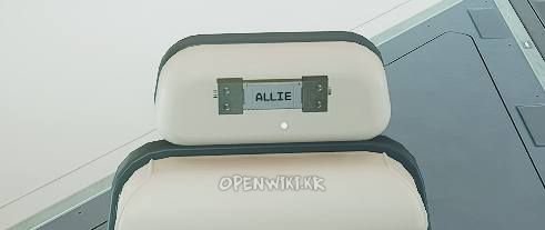 allie10.jpg