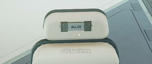 allie10.jpg