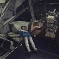 derelict_mule01.jpg