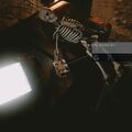 entangled22.jpg
