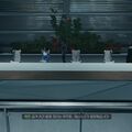 eyewitness04.jpg