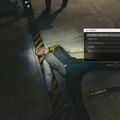 mantis11.jpg