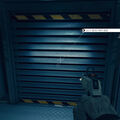 sonny_di_falco02.jpg