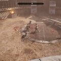 the_arena.jpg