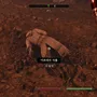 the_bloodworm_helm_02.webp