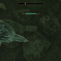 the_forlorn_watchman07.jpg
