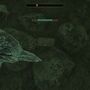 the_forlorn_watchman07.jpg