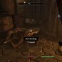 the_unfortunate_shopkeeper.jpg