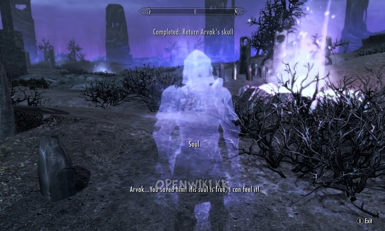 arvak_s_skull_02.jpg