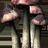 bleeding_crown.jpg