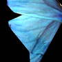 blue_butterfly_wing.jpg