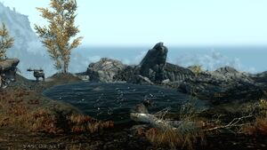 clearspring_tarn.jpg