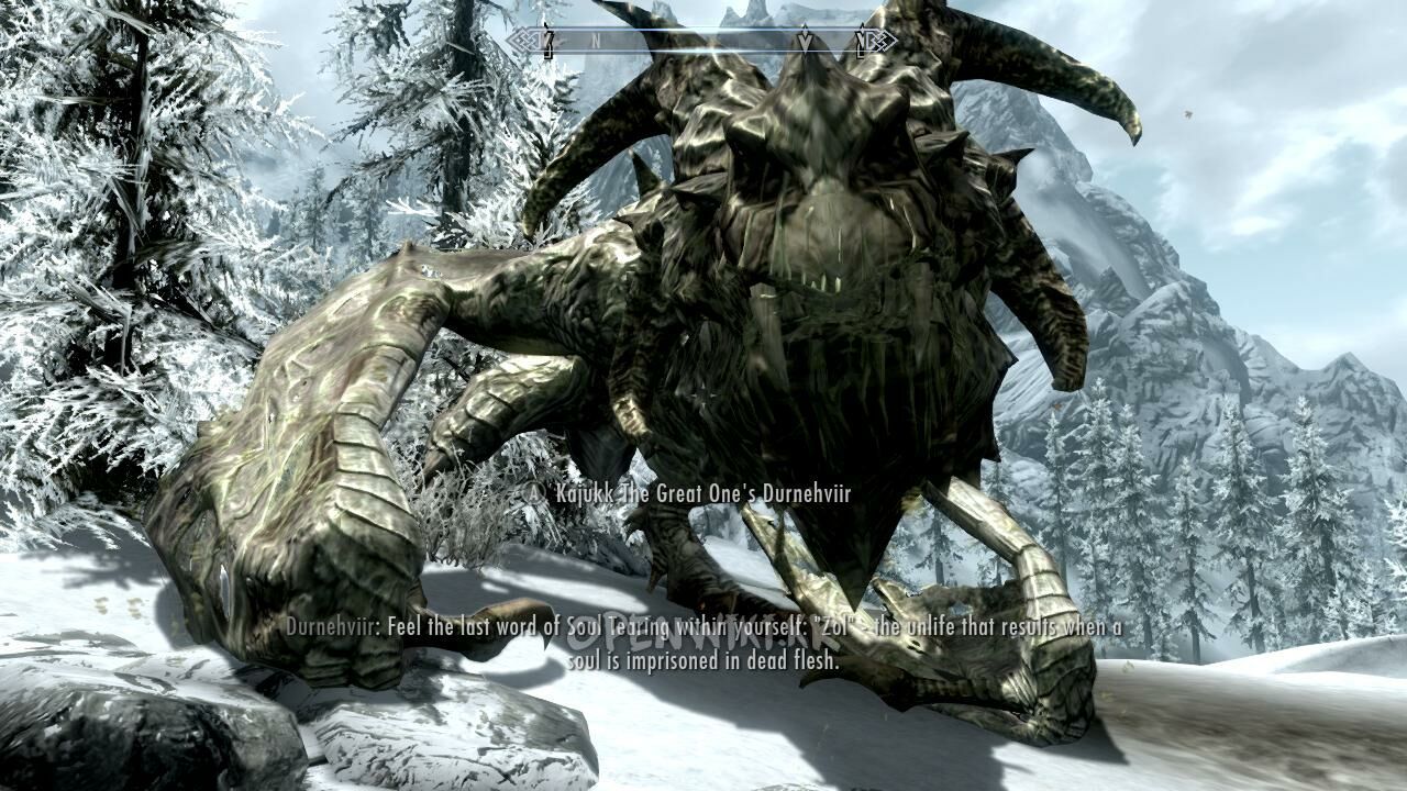 durnehviir_05.jpg