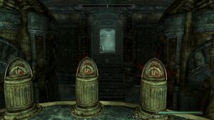 fahlbtharz_07.jpg