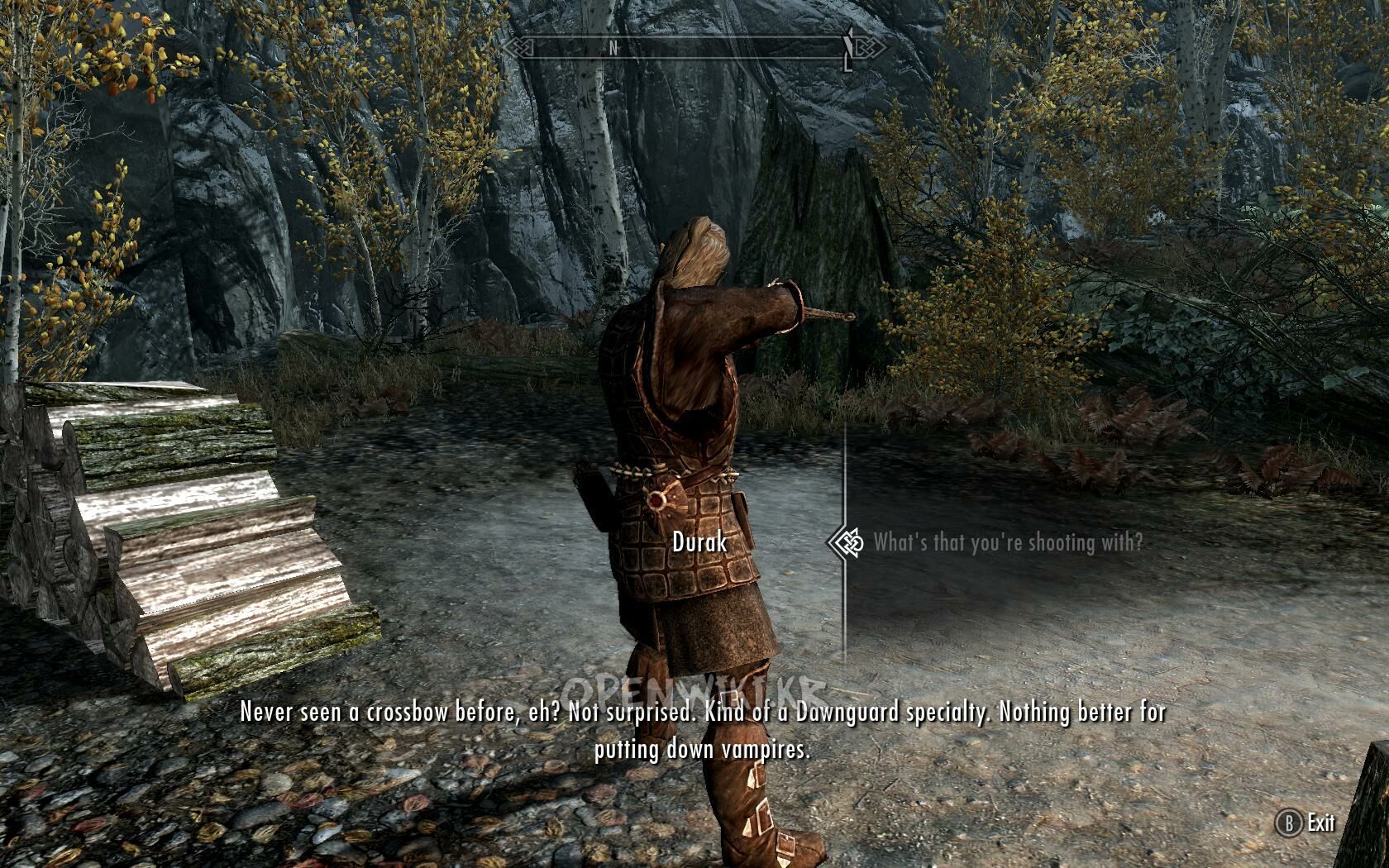 fort_dawnguard_03.jpg