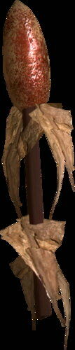 grass_pod.jpg