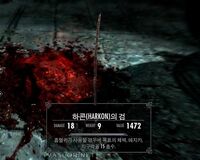 하콘의 검