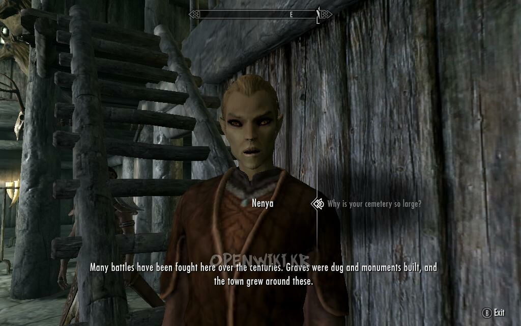 nenya.jpg
