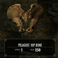 pelagius_s_hip_bone.jpg