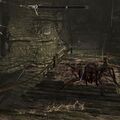 redbelly_mine.jpg
