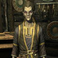 revyn_sadri.jpg