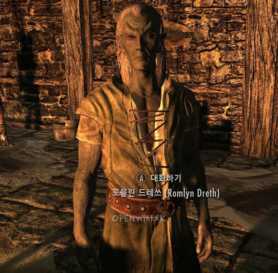 romlyn_dreth.jpg