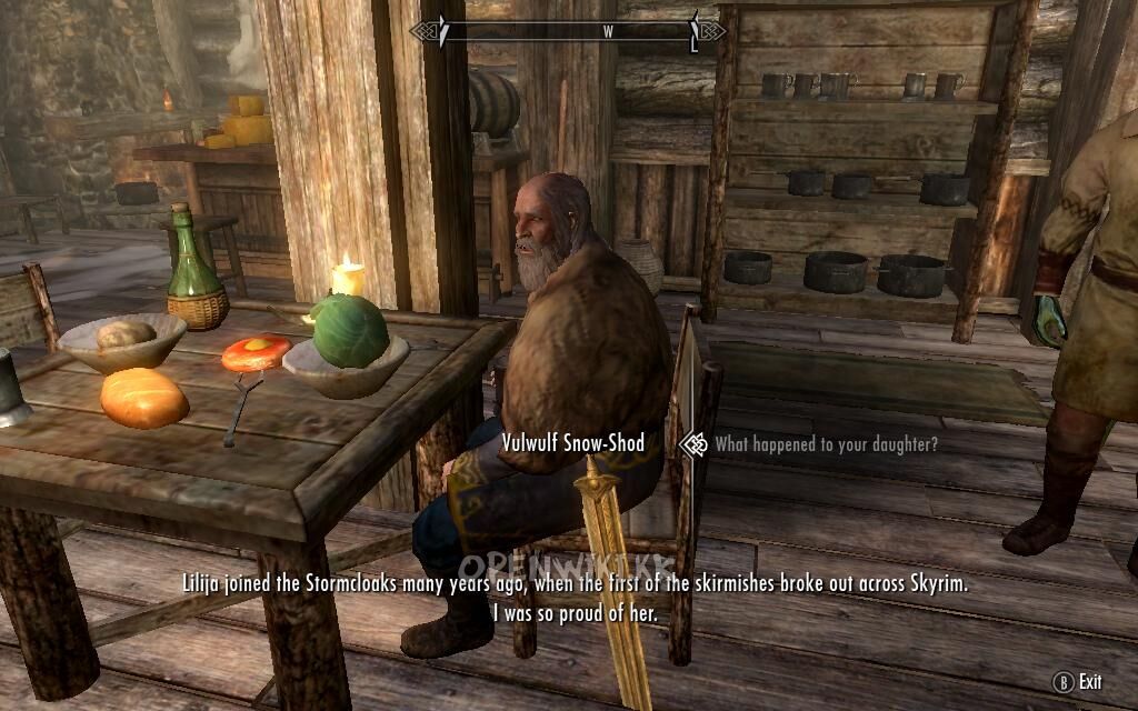 vulwulf_snow-shod.jpg