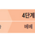 스테로이드_0723.png