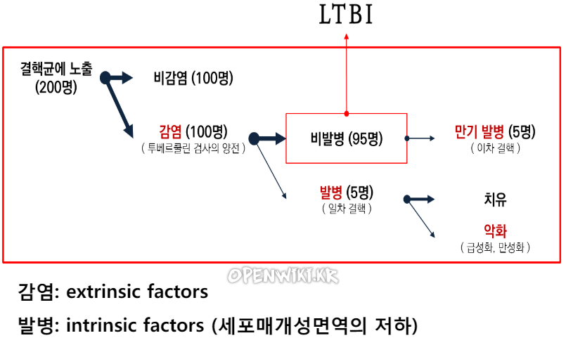 잠복결핵_1527.png