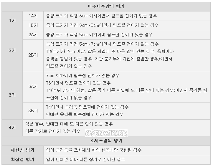 폐암_0325151405.png