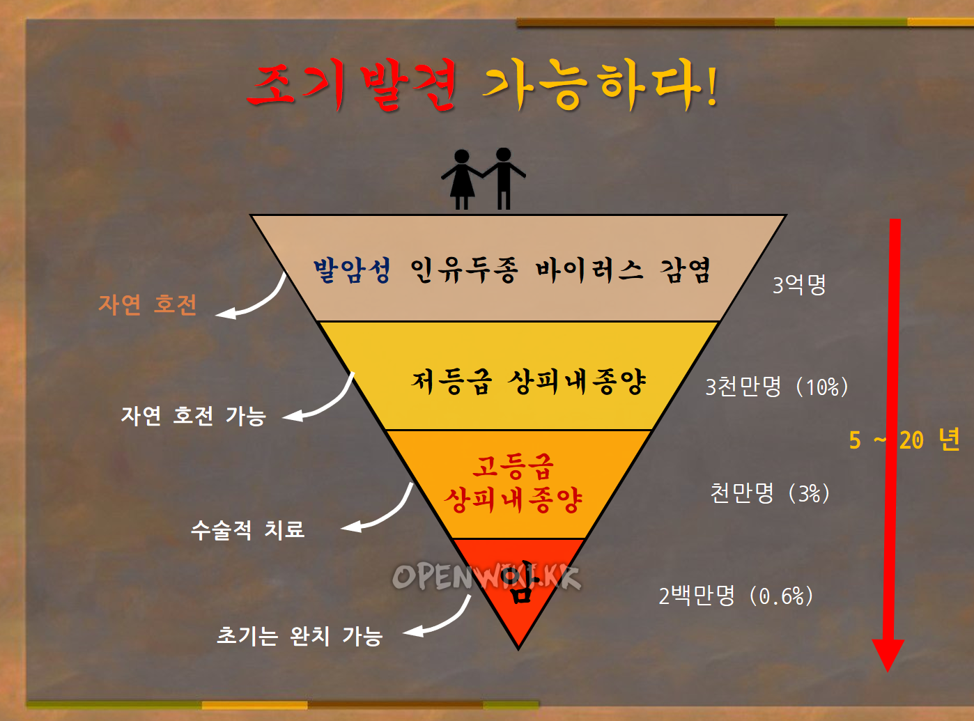 cervical_cancer_3924.png