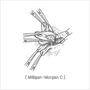 excision_and_ligation03.jpg