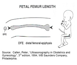fetal_biometry_0525113136.png