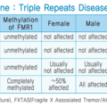 fragile_x_syndrome_2750.png
