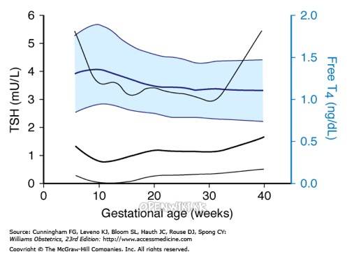 Gestational age-specific values for serum thyroid-stimulating hormone (TSH) levels (black lines) and free thyroxine (T4) levels (blue lines).