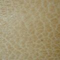 ichthyosis010420-2.jpg