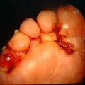 misuse_bacora9-473.jpg