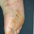 misuse_banjil010910-2.jpg