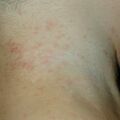misuse_bebekin020805.jpg