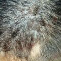 misuse_bigazol020820-1.jpg