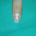 misuse_camio020826-1.jpg