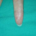misuse_camio020826-2.jpg