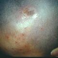 misuse_celestone-g9-701.jpg