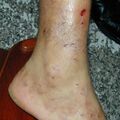misuse_celestoneg020805-2.jpg