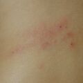 misuse_censtong020615-1.jpg